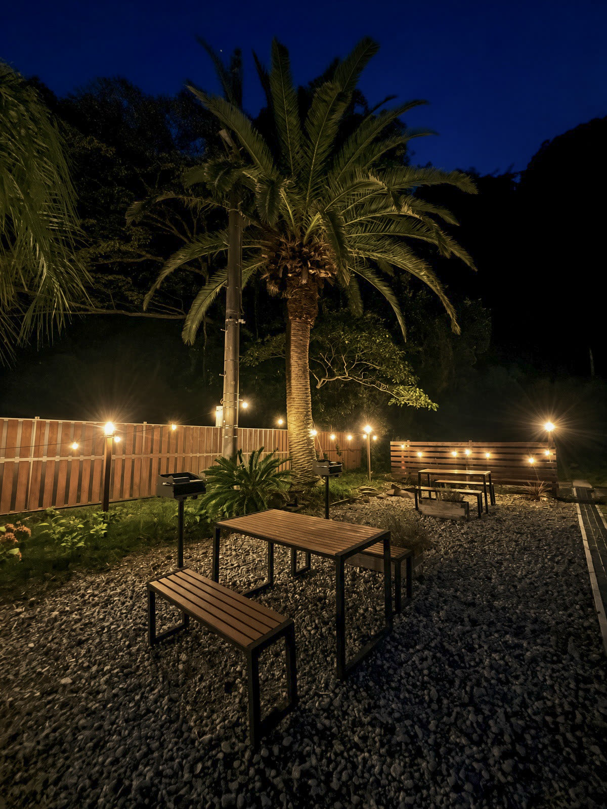 Palm and tables under the lights